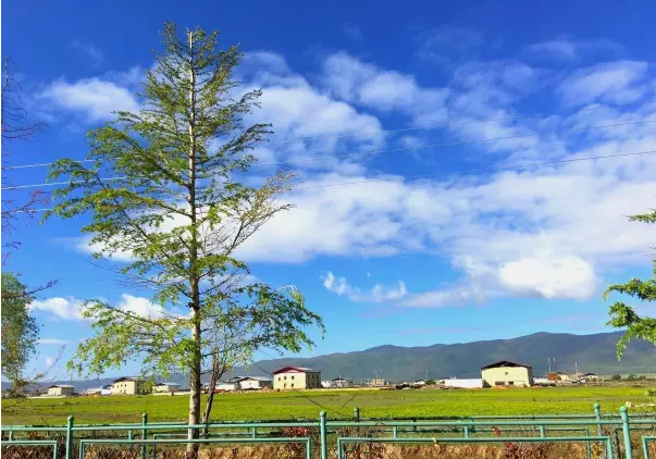 重庆到香格里拉旅游