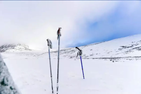 雅拉雪山旅行